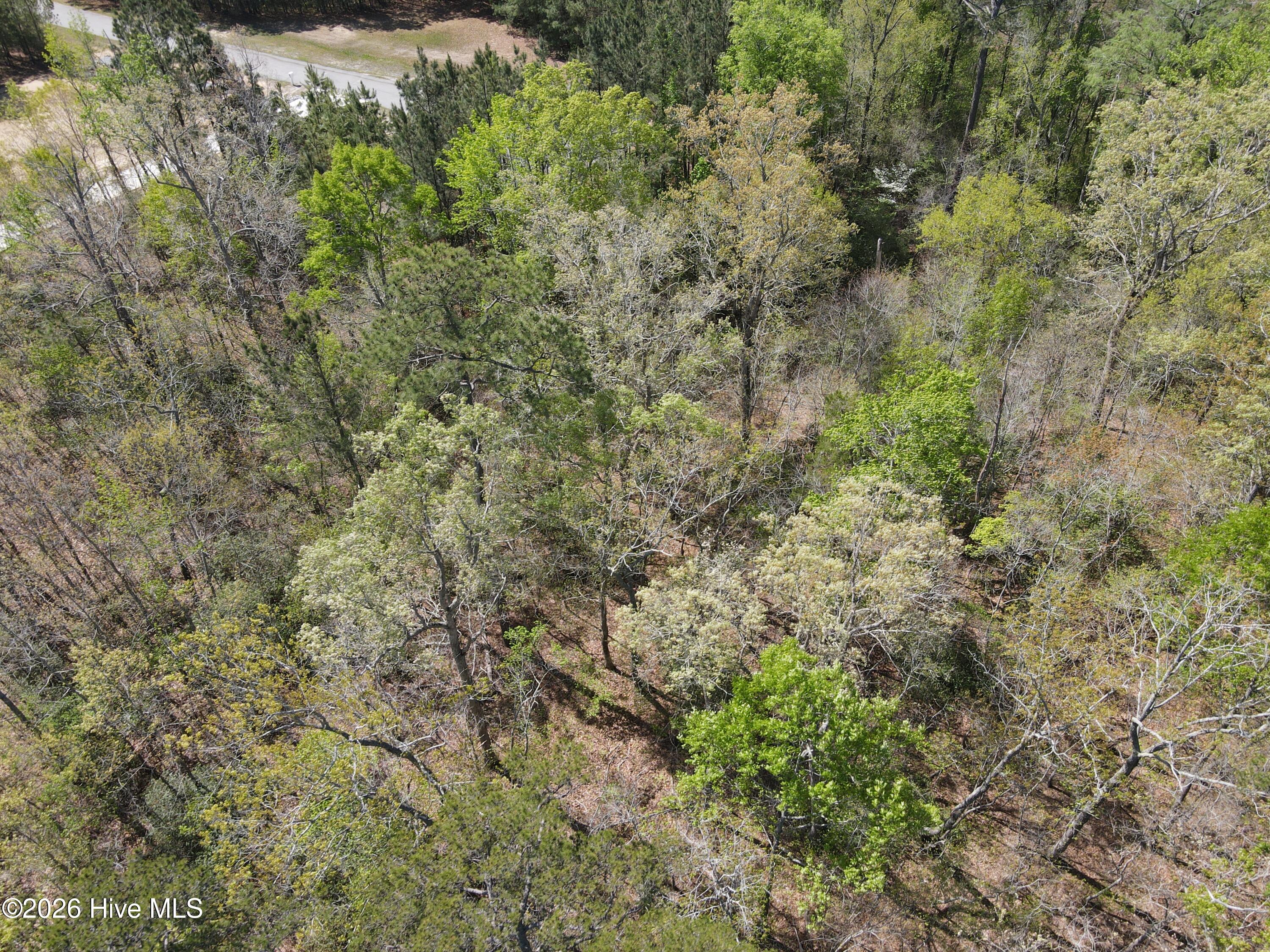 Lot 12 River Bluff Drive Property Photo 5
