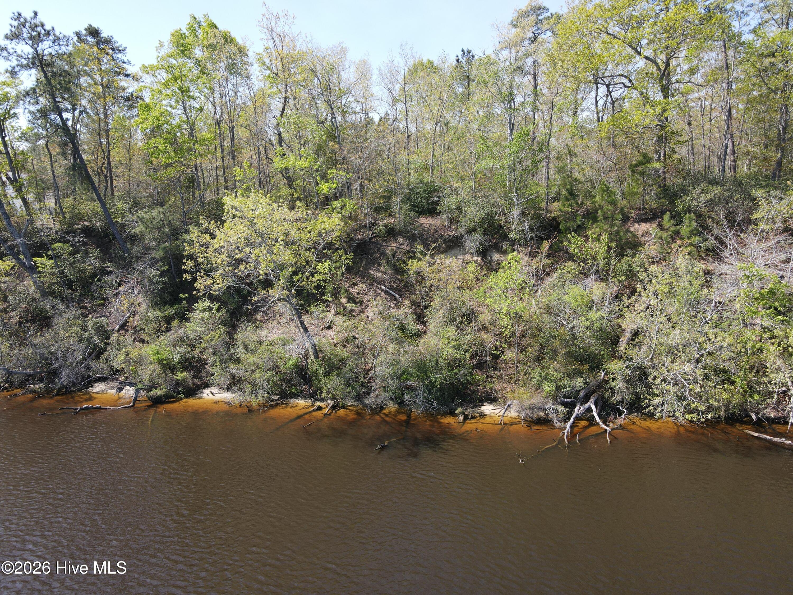 Lot 12 River Bluff Drive Property Photo 6