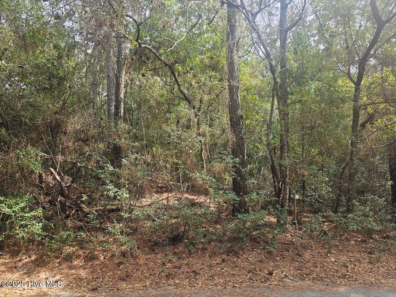 45 Fort Holmes Trail Property Photo
