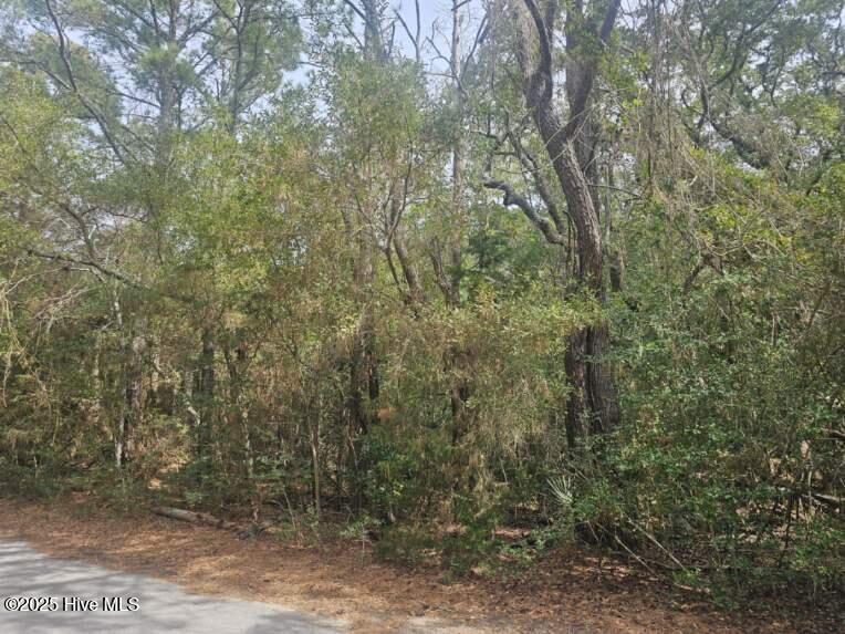 45 Fort Holmes Trail Property Photo 5