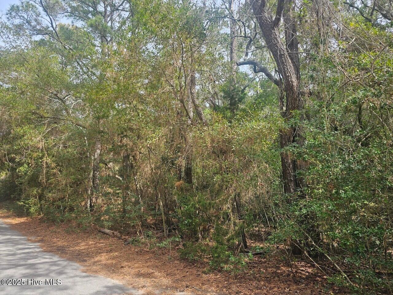 45 Fort Holmes Trail Property Photo 6