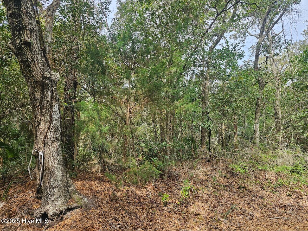 35 Dowitcher Trail Property Photo 3