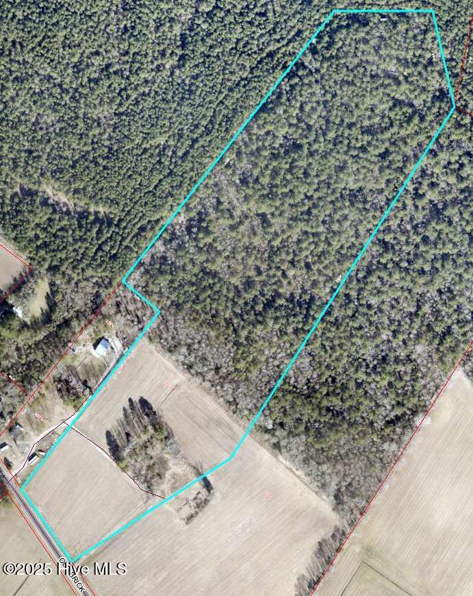 2655 Old Brick Road Property Photo 2