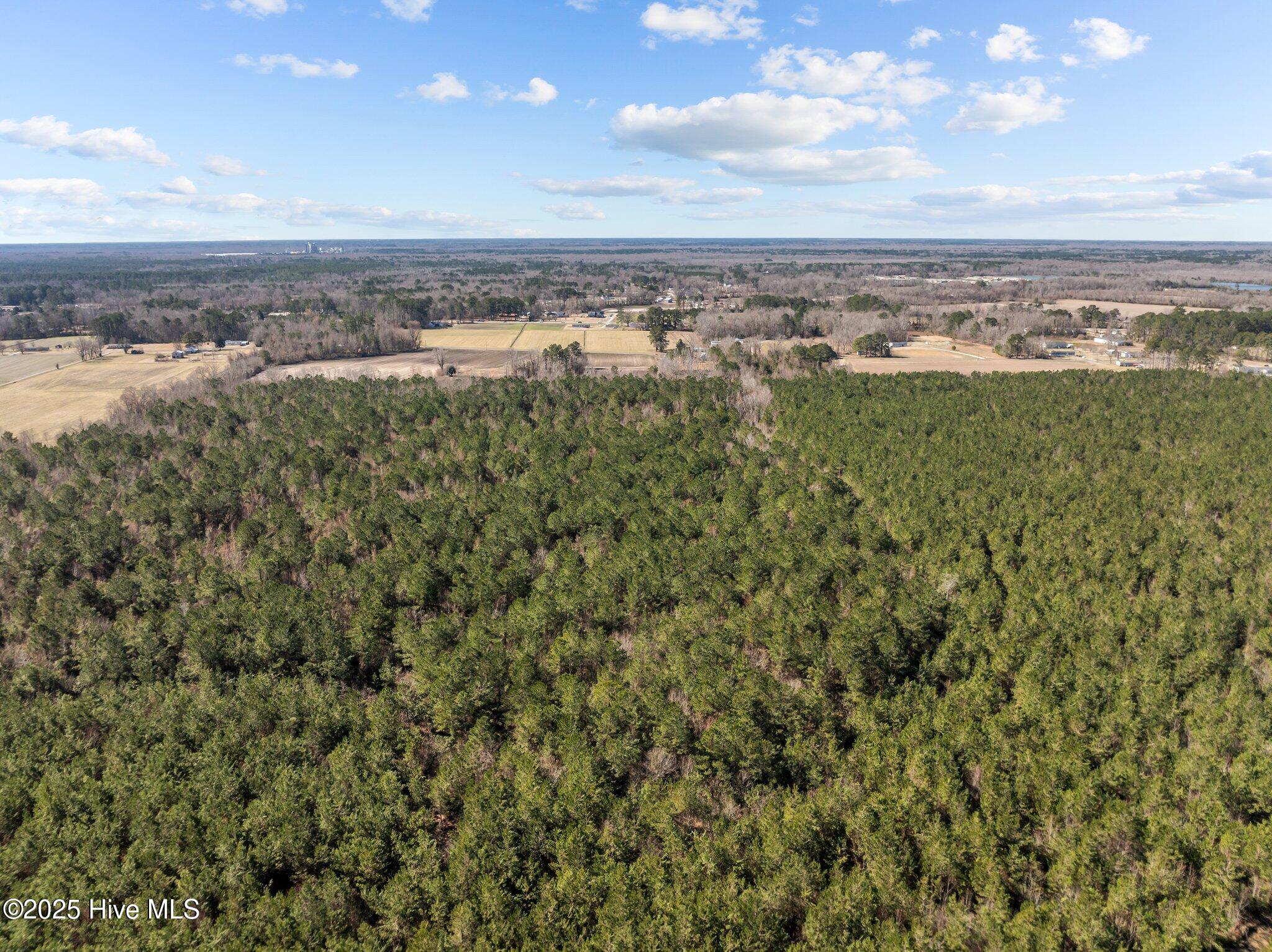 2655 Old Brick Road Property Photo 4