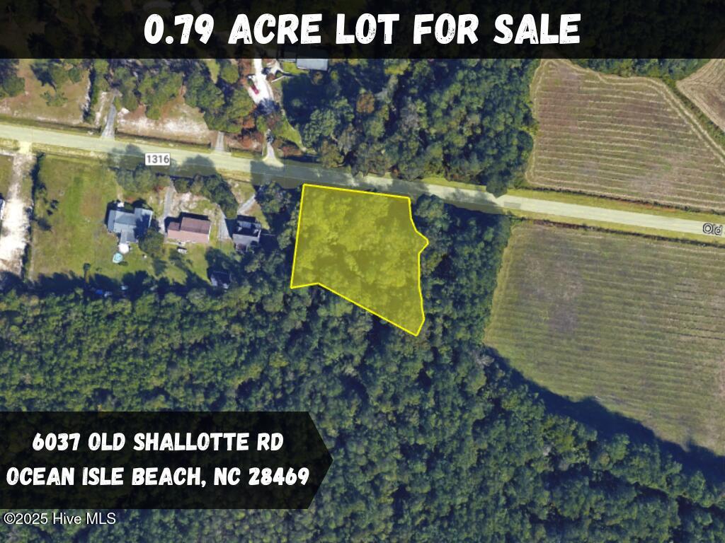 6037 Old Shallotte Road Property Photo 4