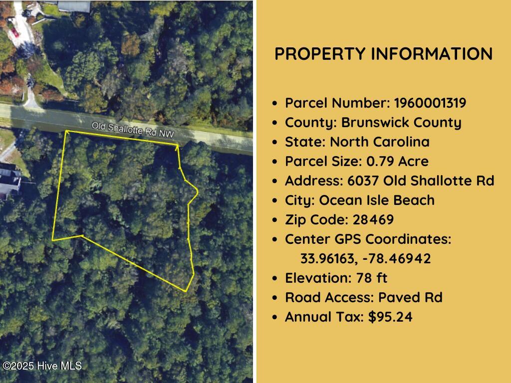 6037 Old Shallotte Road Property Photo 13