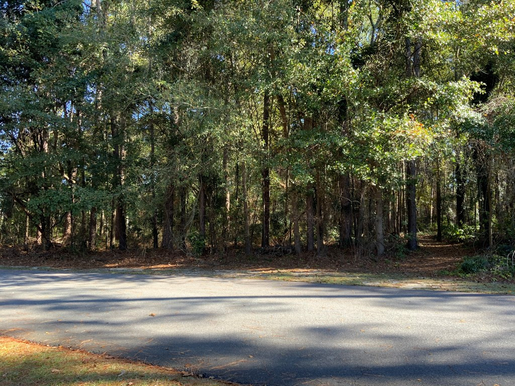 106 Deerborn Drive Property Photo 3