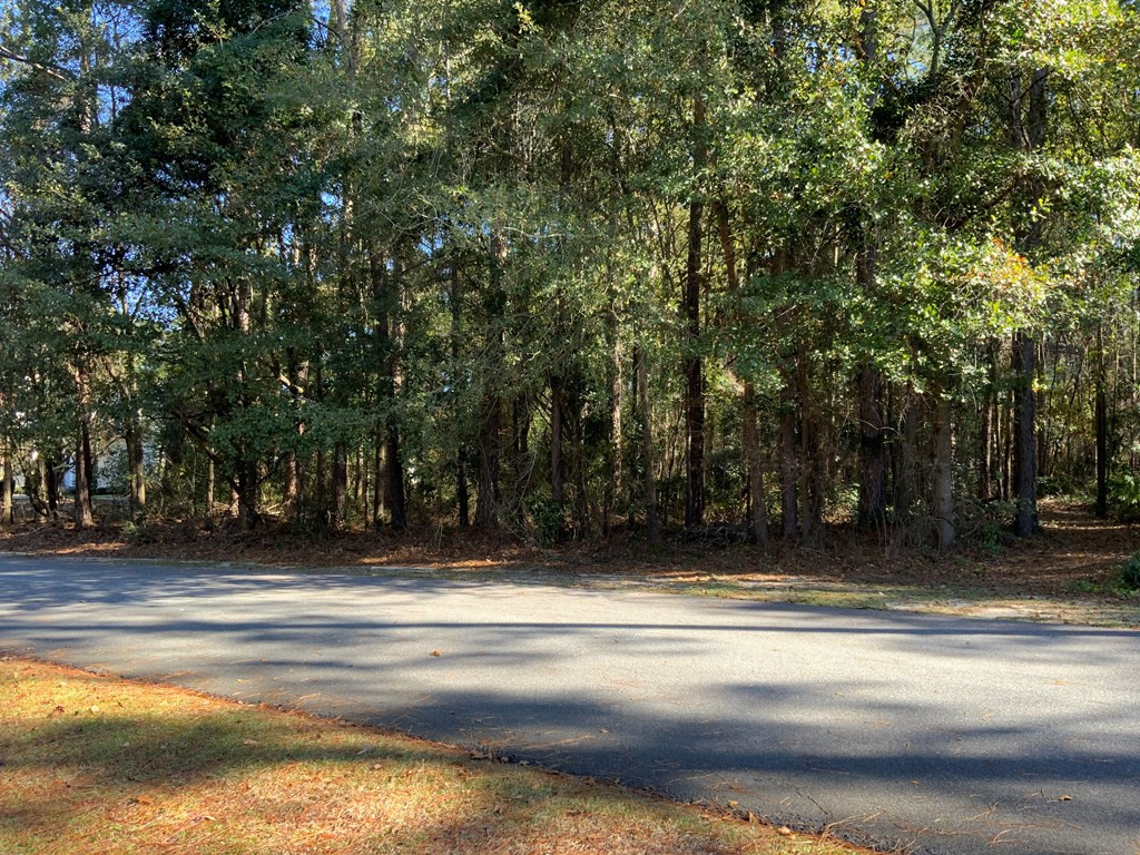 106 Deerborn Drive Property Photo 4