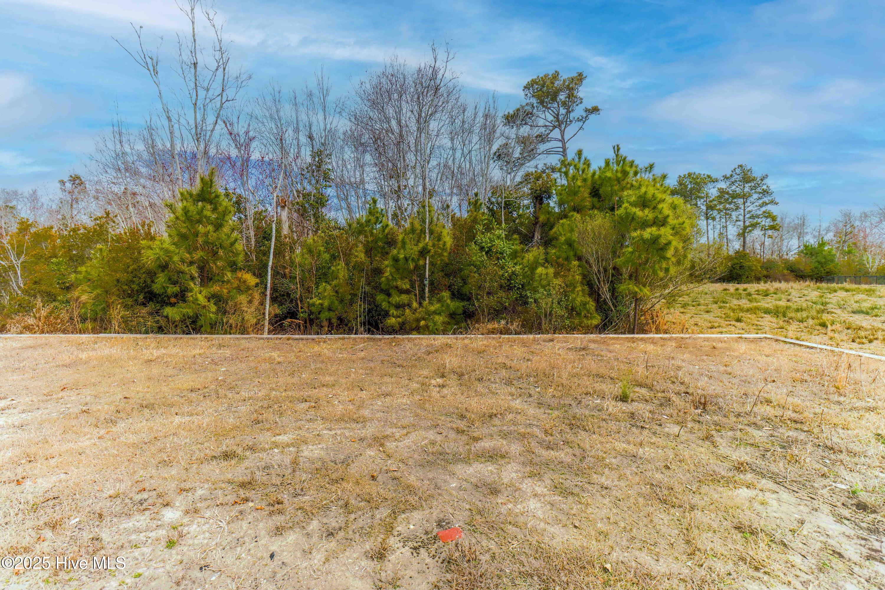 277 Little Kinston Road Property Photo 10