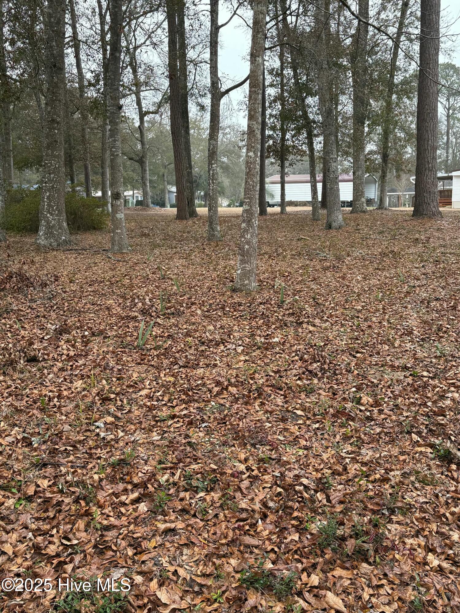 2679 Bluebird Lane Property Photo