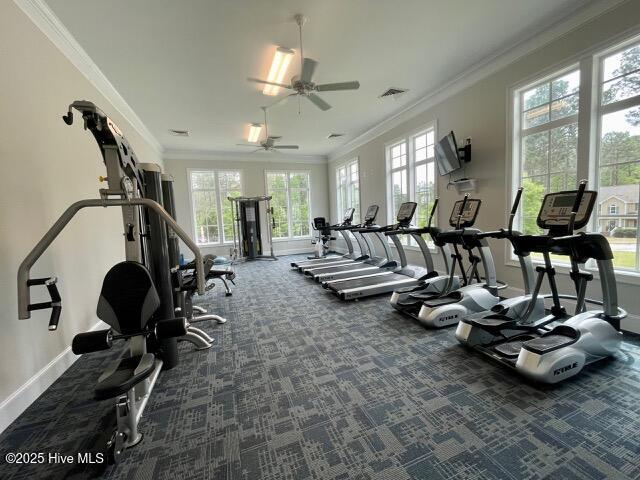 810 Ave Of The Carolinas Property Photo 13