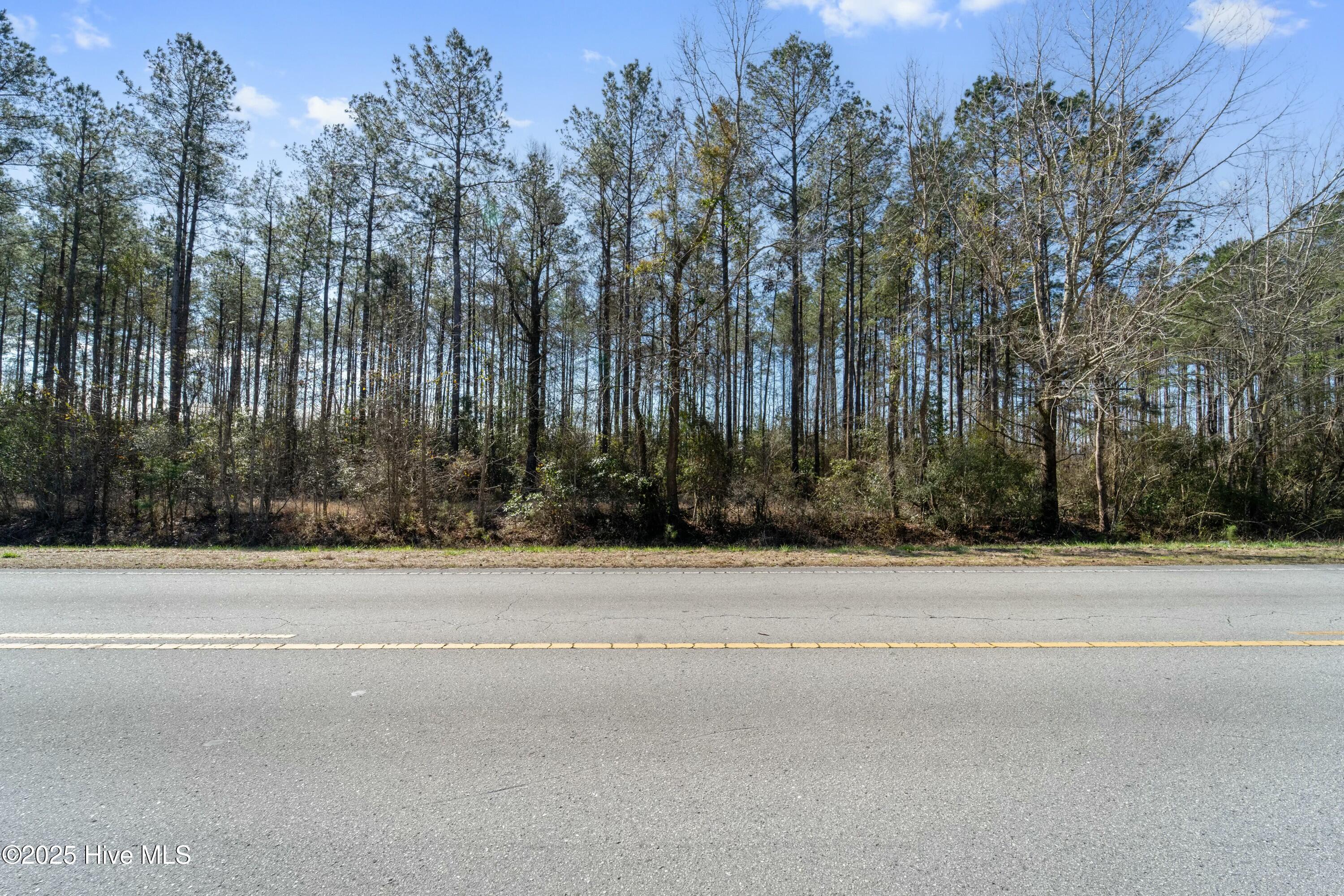 5 Ac New Road Property Photo 5