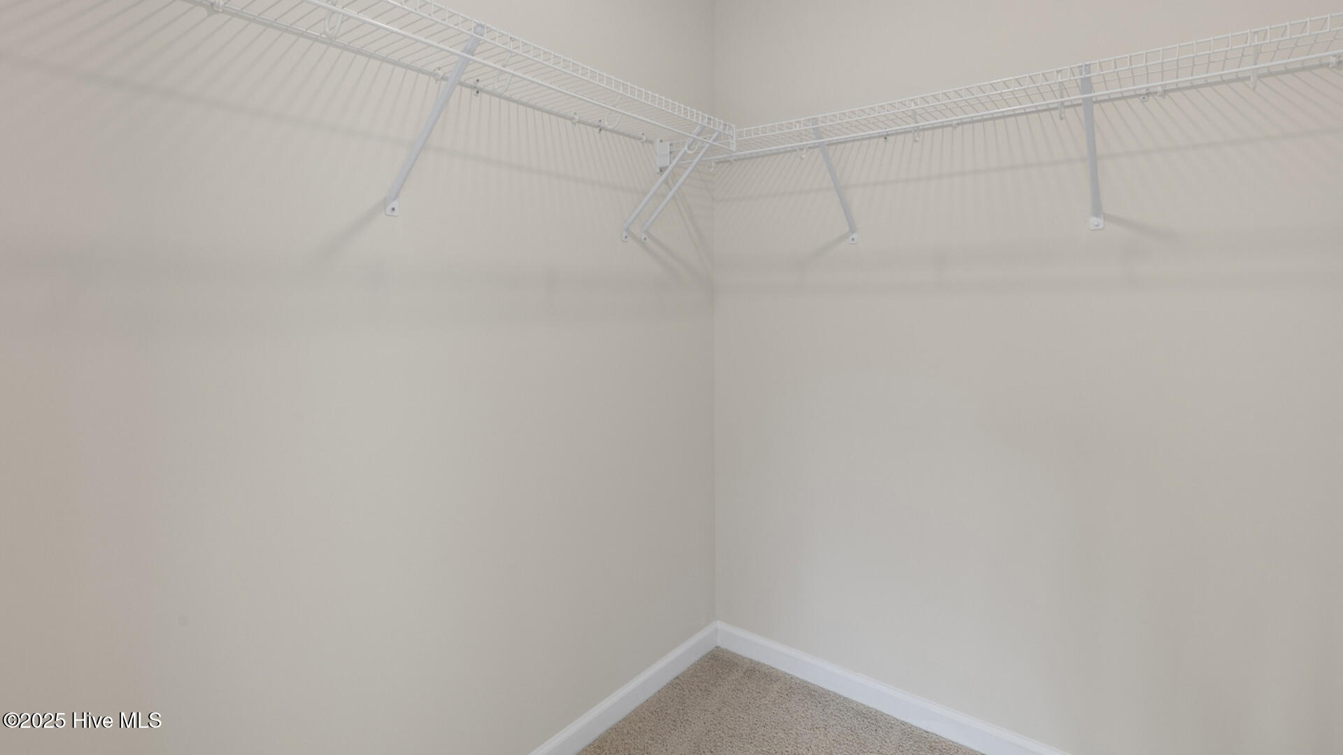 401 Citron Street Property Photo 19