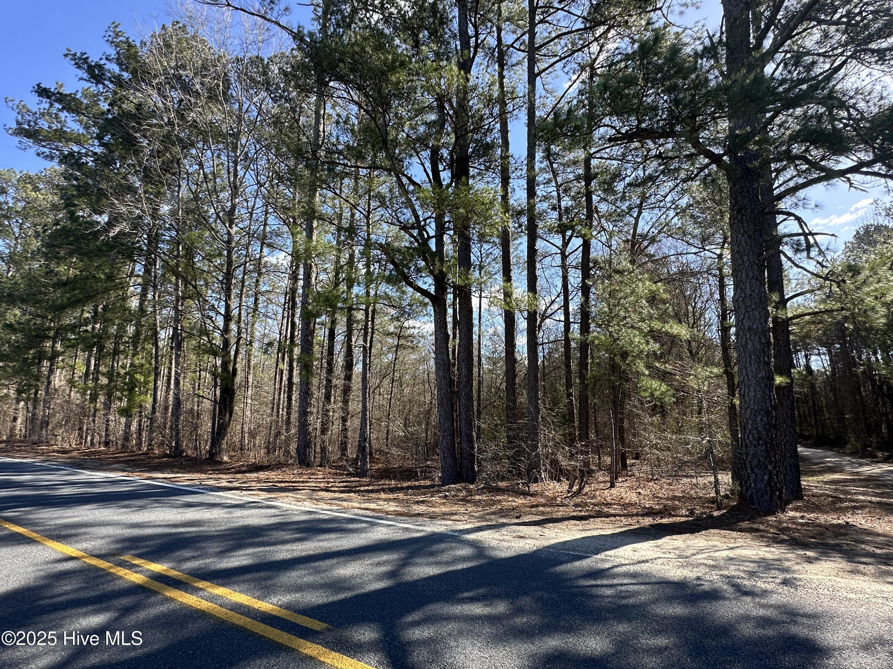 Tbd Cliff Gibson Road Property Photo