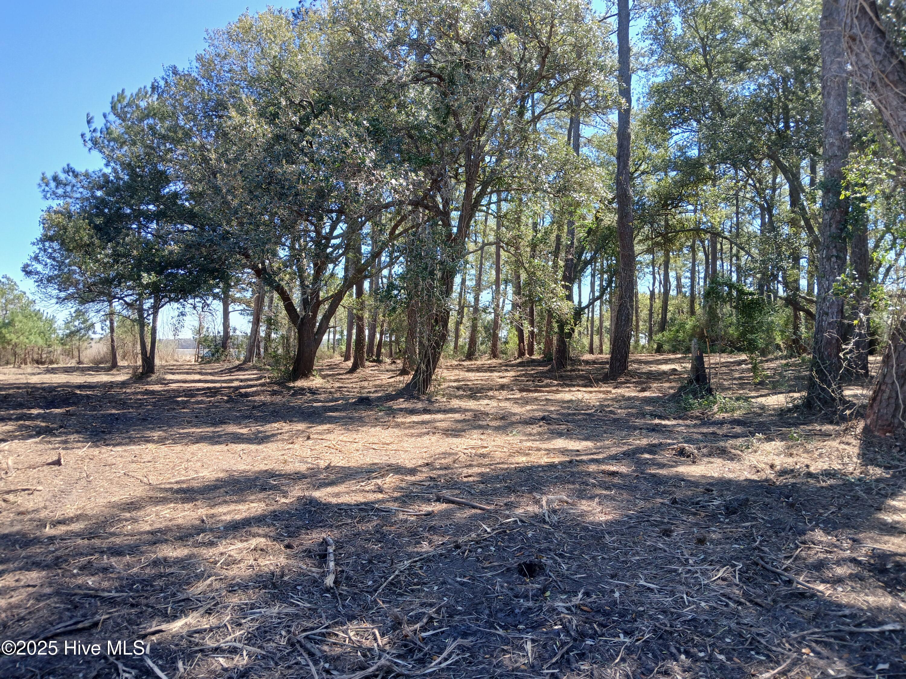 1 Live Oak Drive Property Photo 3