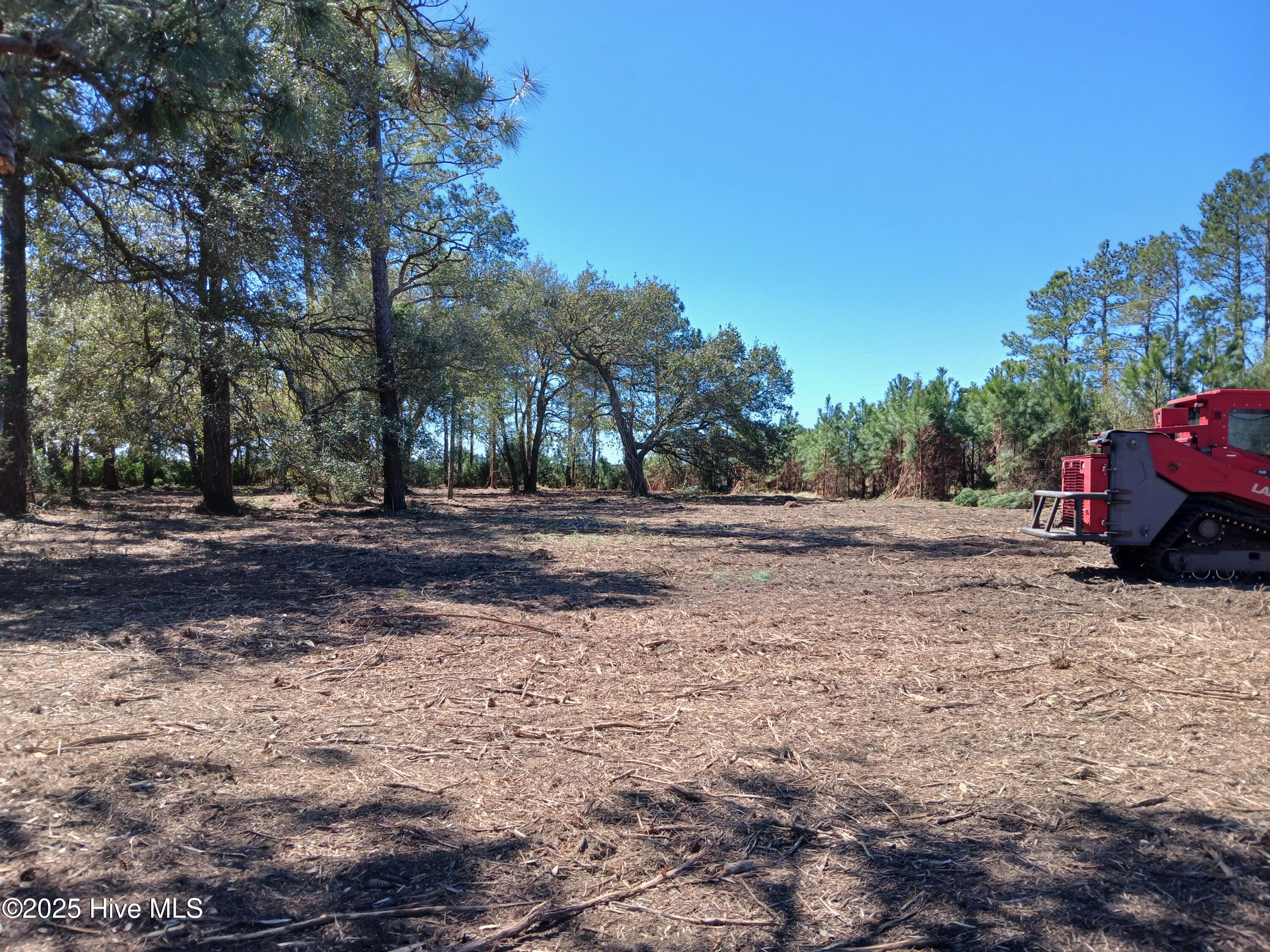 1 Live Oak Drive Property Photo 5