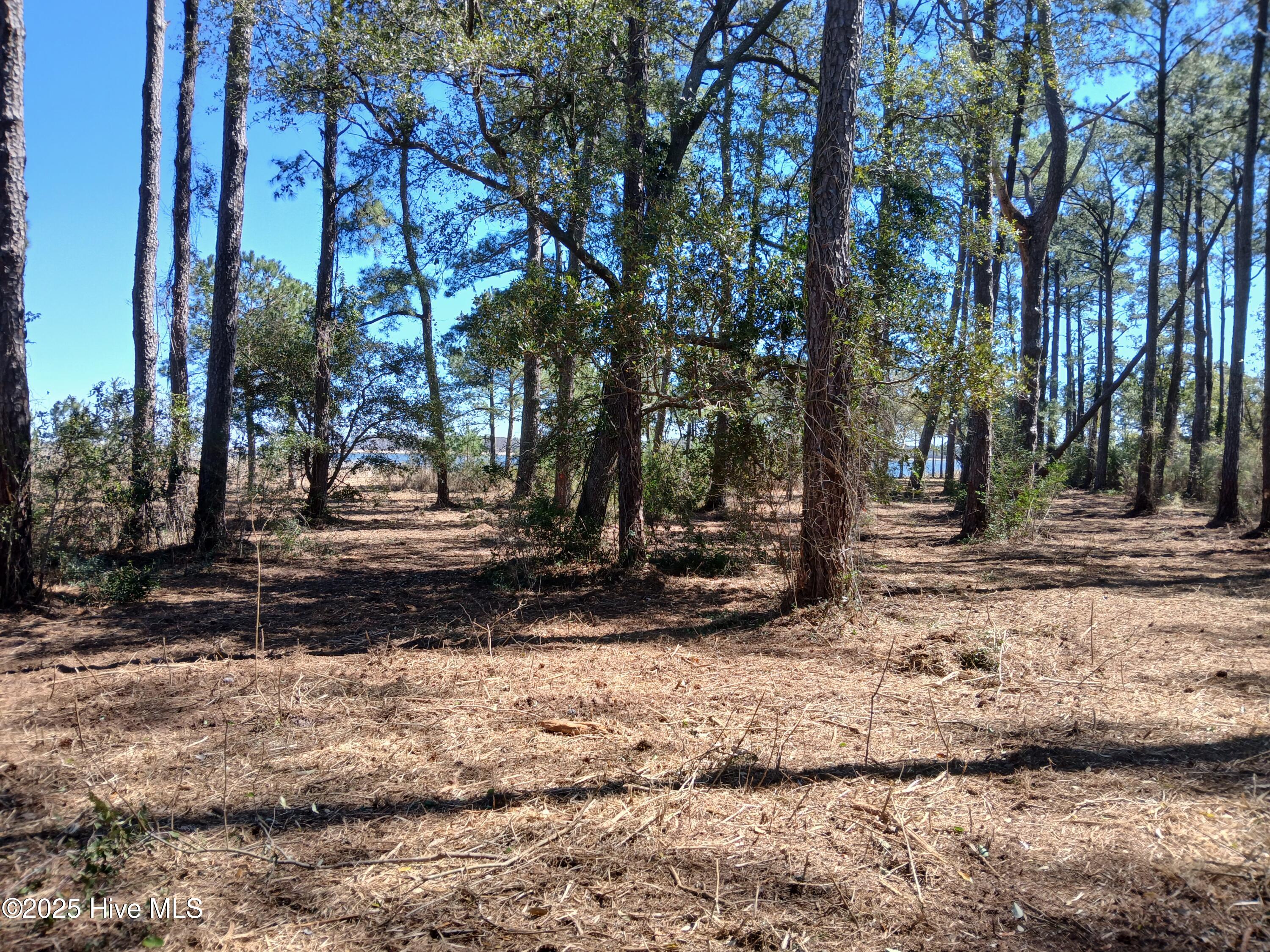 1 Live Oak Drive Property Photo 7