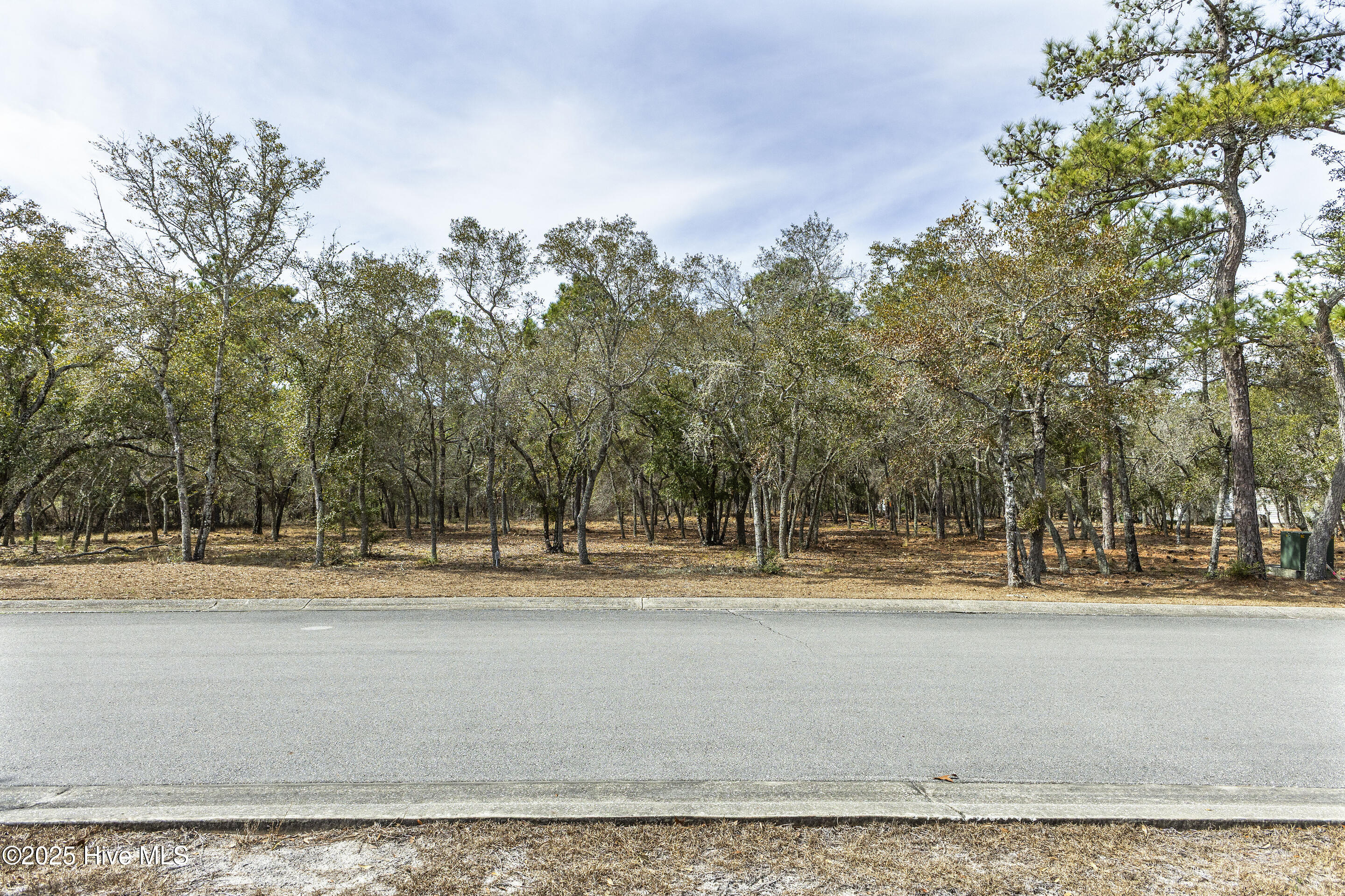 3651 Natchez Street Property Photo 6