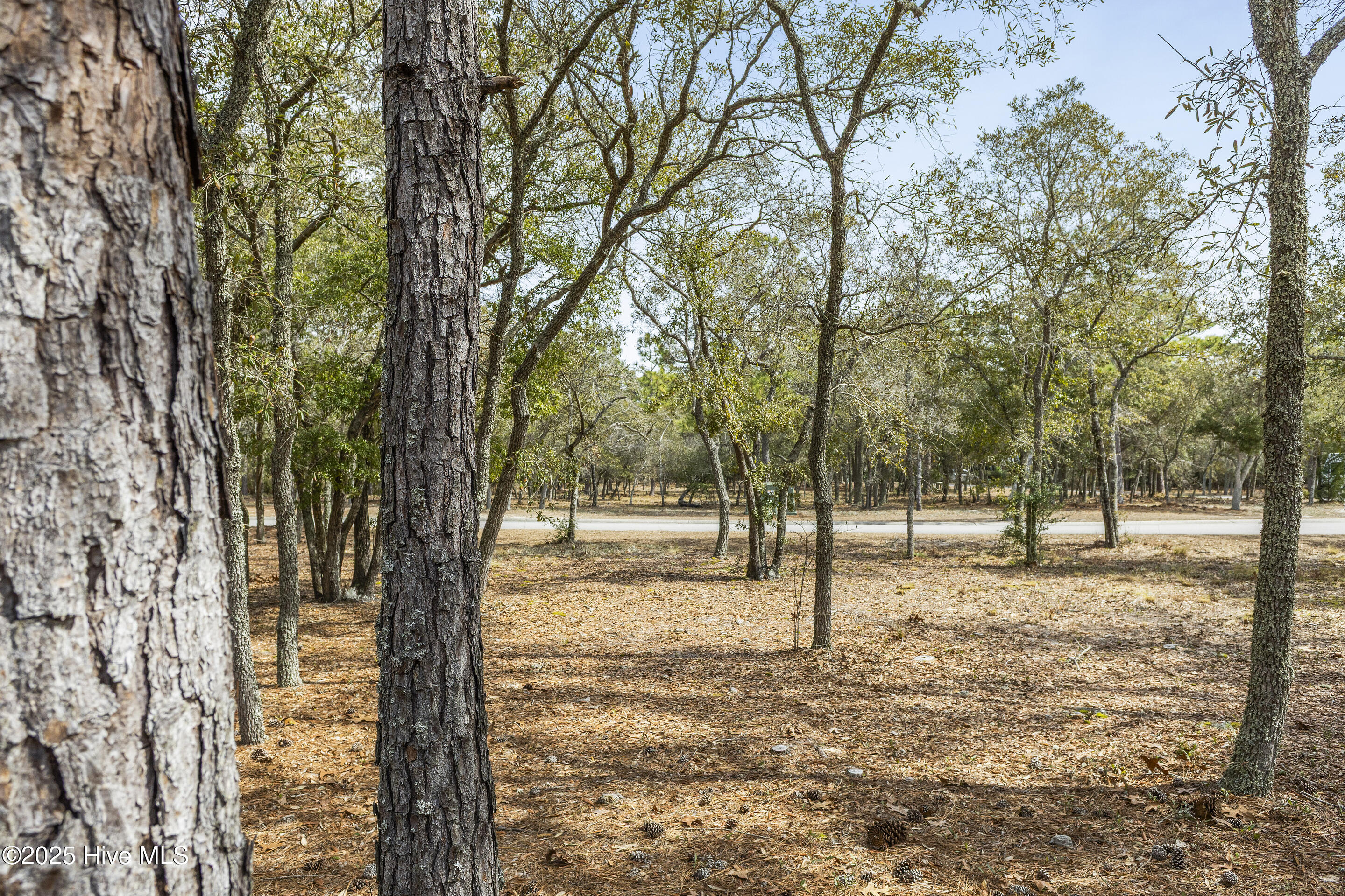 3651 Natchez Street Property Photo 7