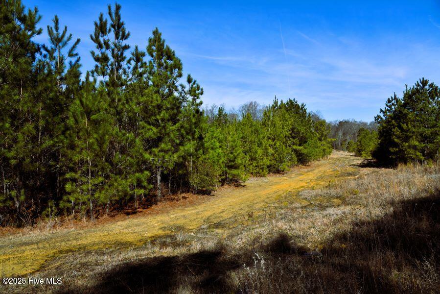 0 Off Us Hwy 264 Property Photo 4