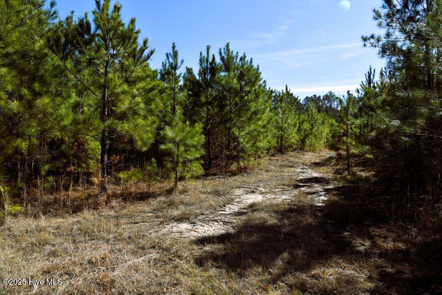 0 Off Us Hwy 264 Property Photo 5