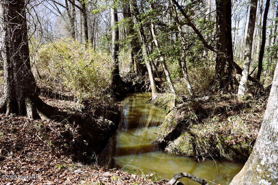 0 Off Us Hwy 264 Property Photo 7