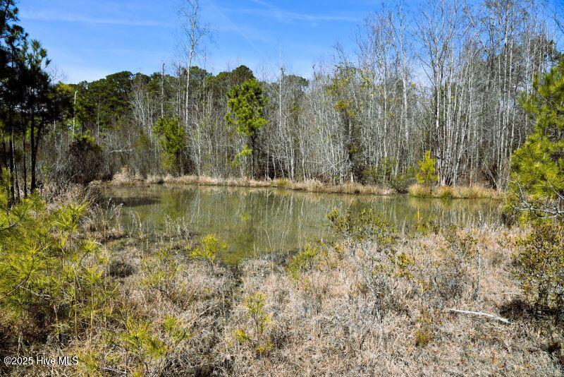 0 Off Us Hwy 264 Property Photo 11