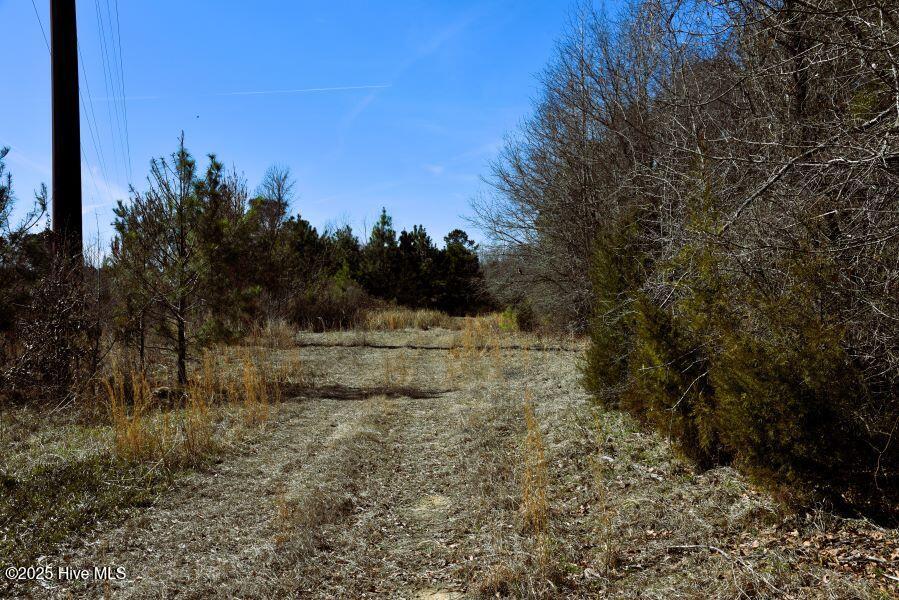 0 Off Us Hwy 264 Property Photo 12