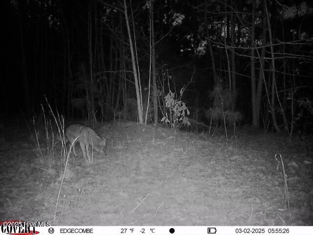 0 Off Us Hwy 264 Property Photo 16