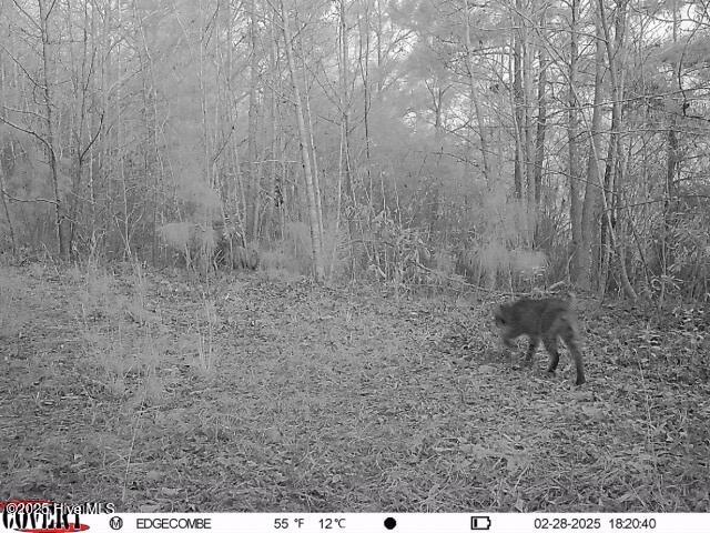 0 Off Us Hwy 264 Property Photo 17