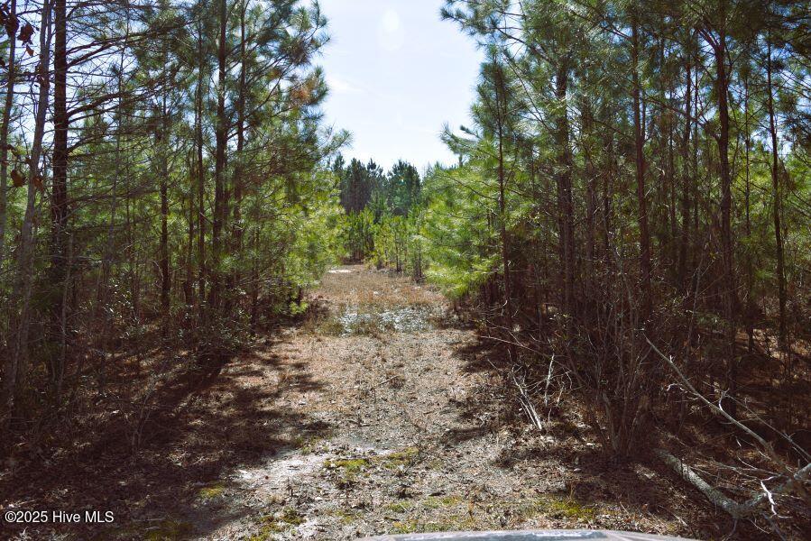 0 Off Us Hwy 264 Property Photo 18
