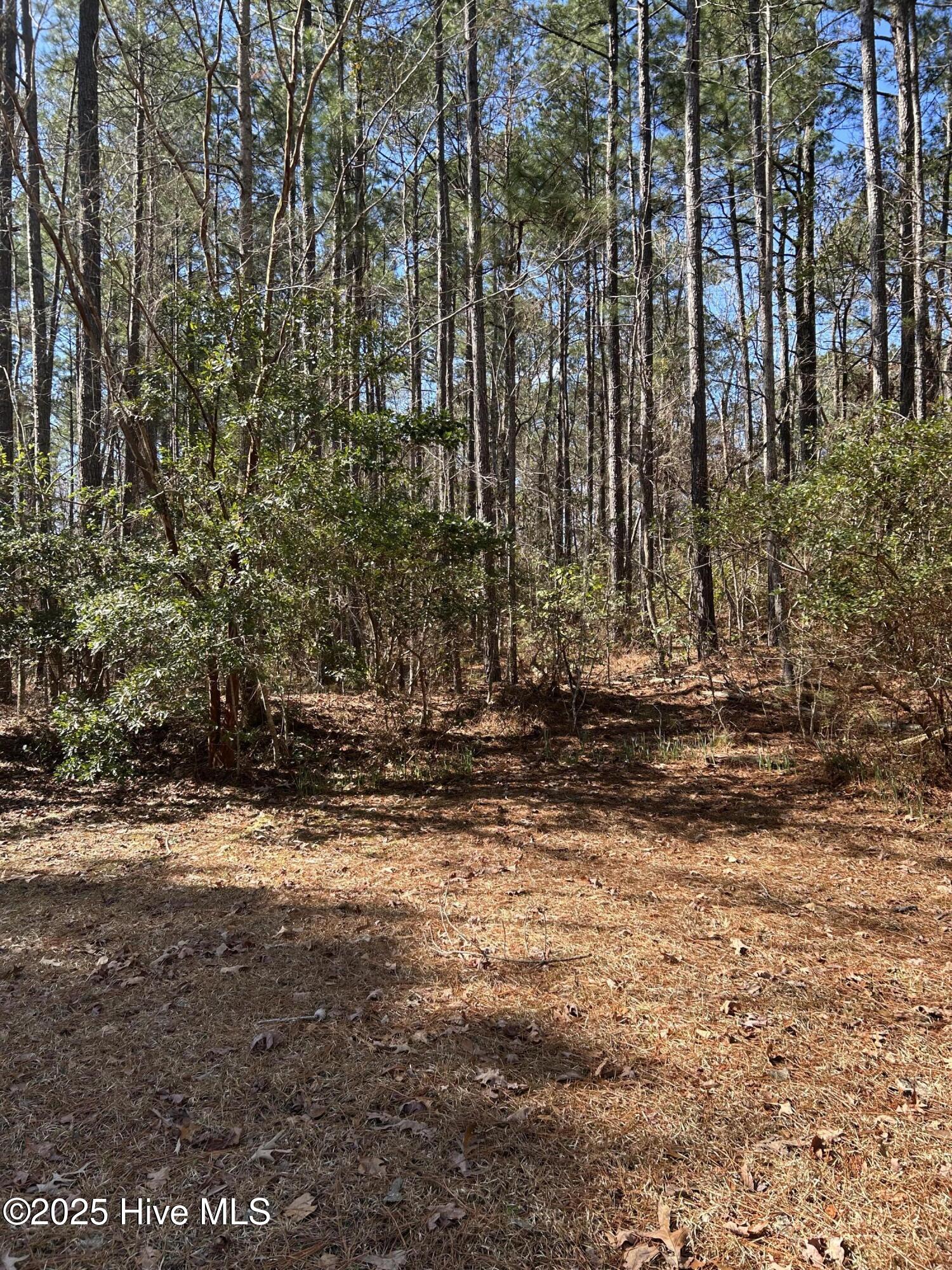 0 Belgrade Swansboro Road Property Photo