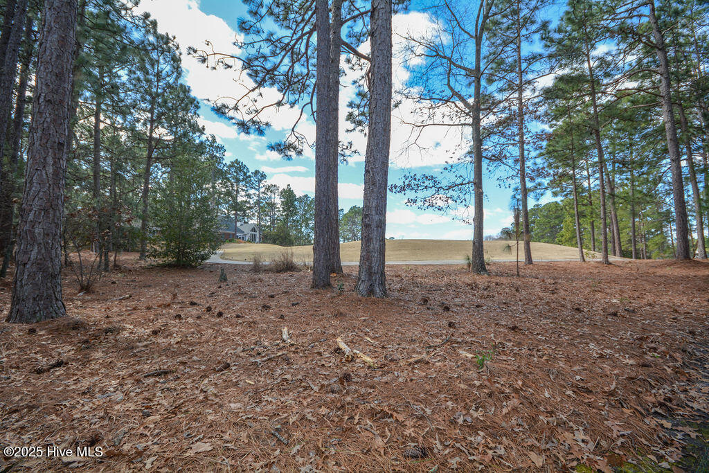 2 Hunter Court Property Photo 60