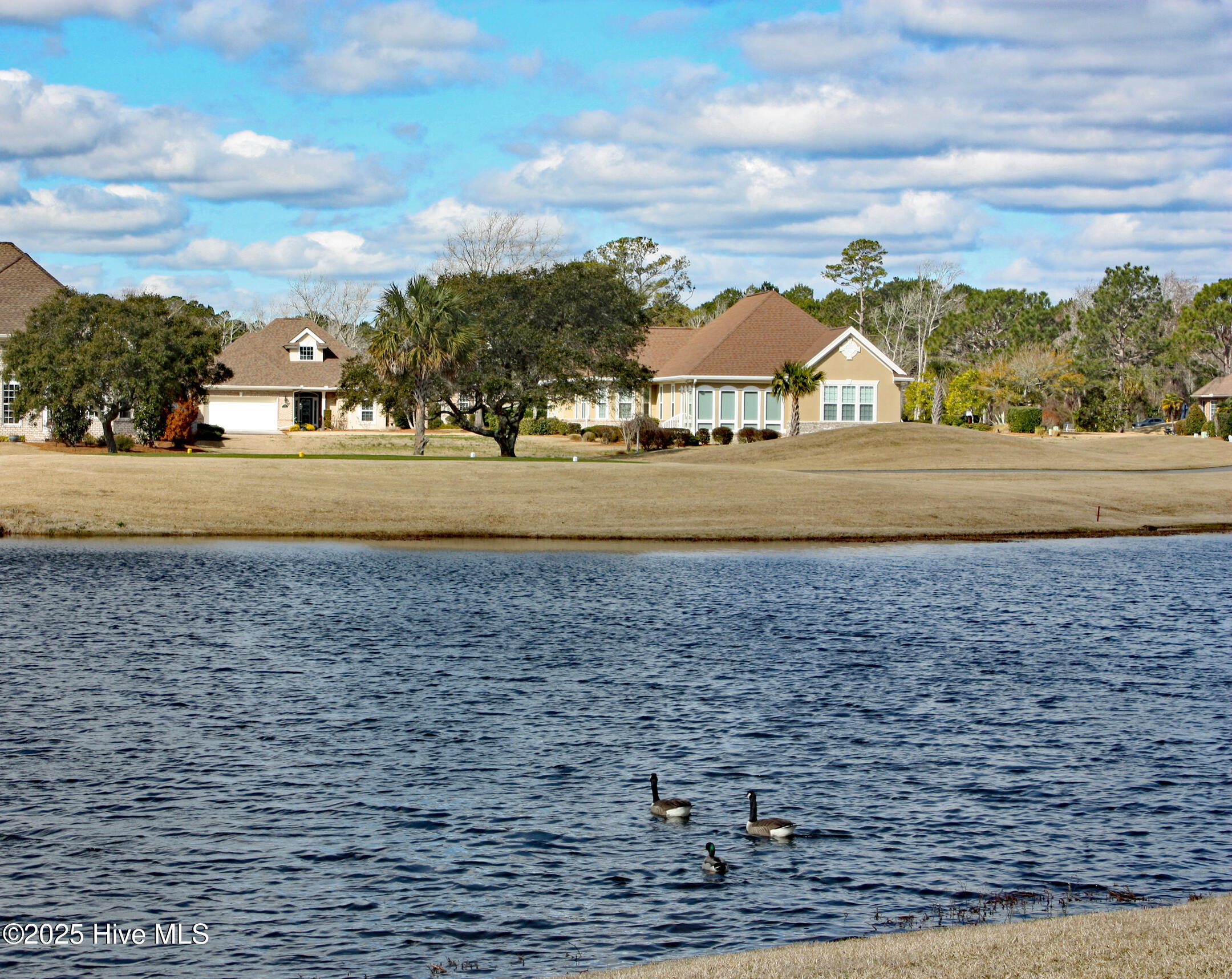 6955 Rosebury Court Property Photo 4