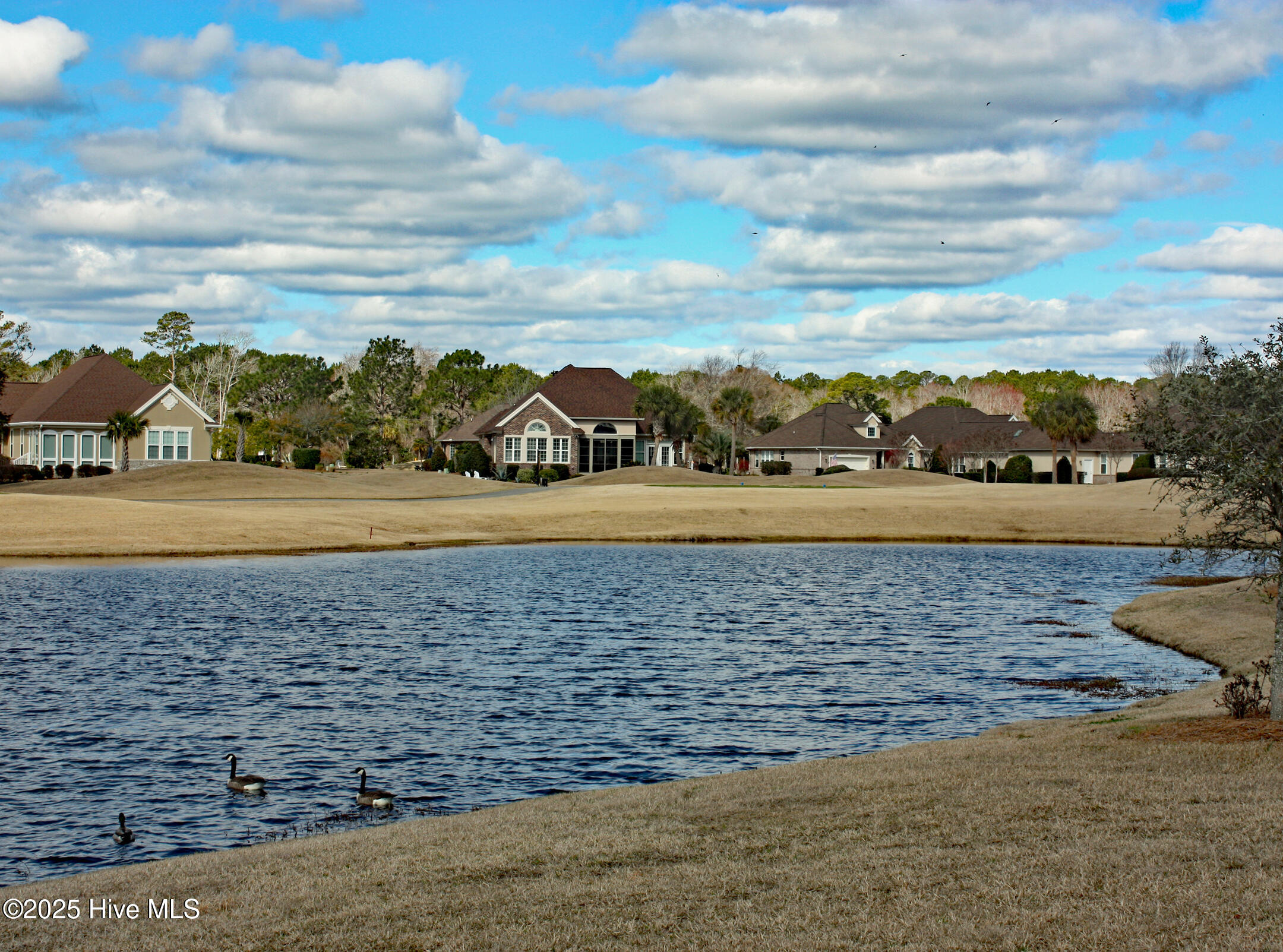 6955 Rosebury Court Property Photo 5