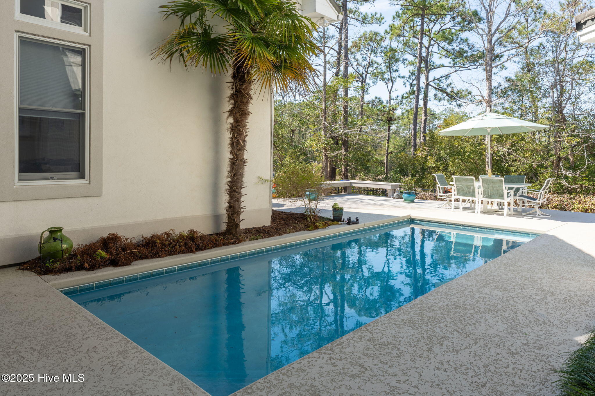 803 Cedar Ramble Lane Property Photo 49