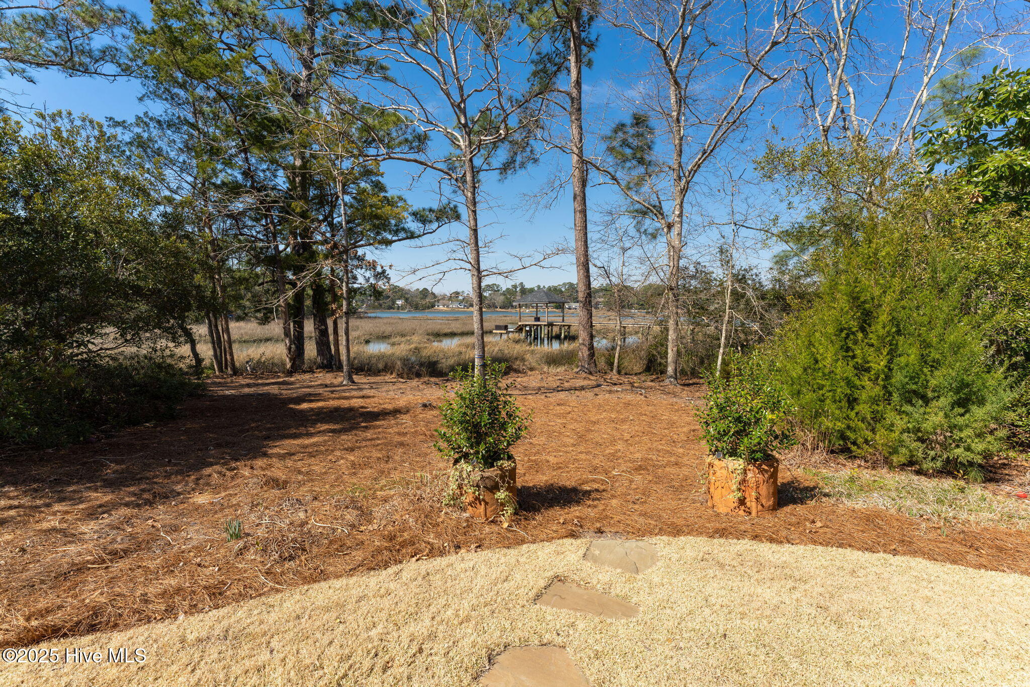 803 Cedar Ramble Lane Property Photo 58