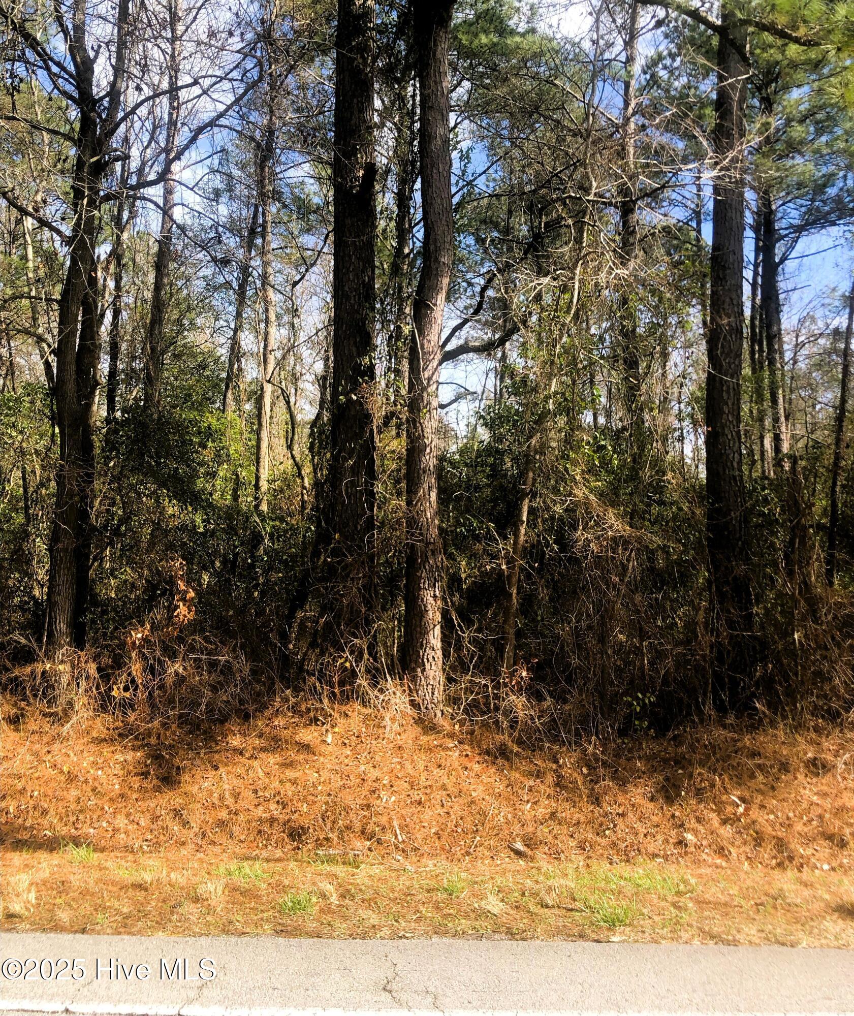 0 Deppe Road Property Photo 2