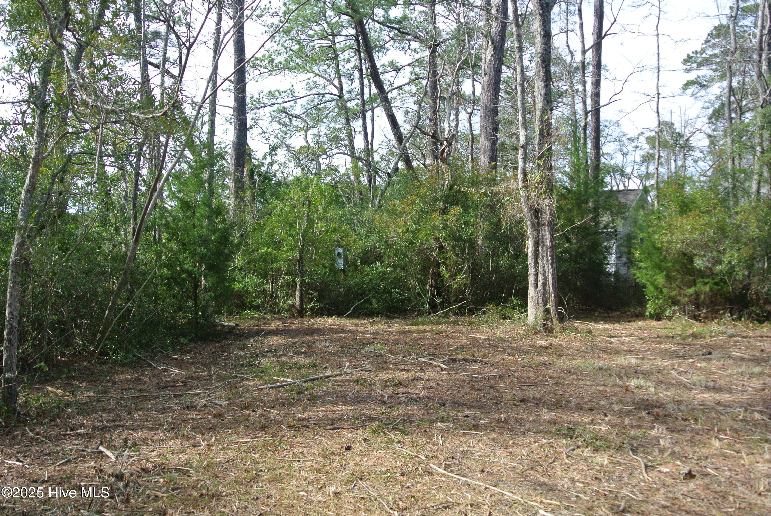 252 Jonaquins Drive Property Photo 3