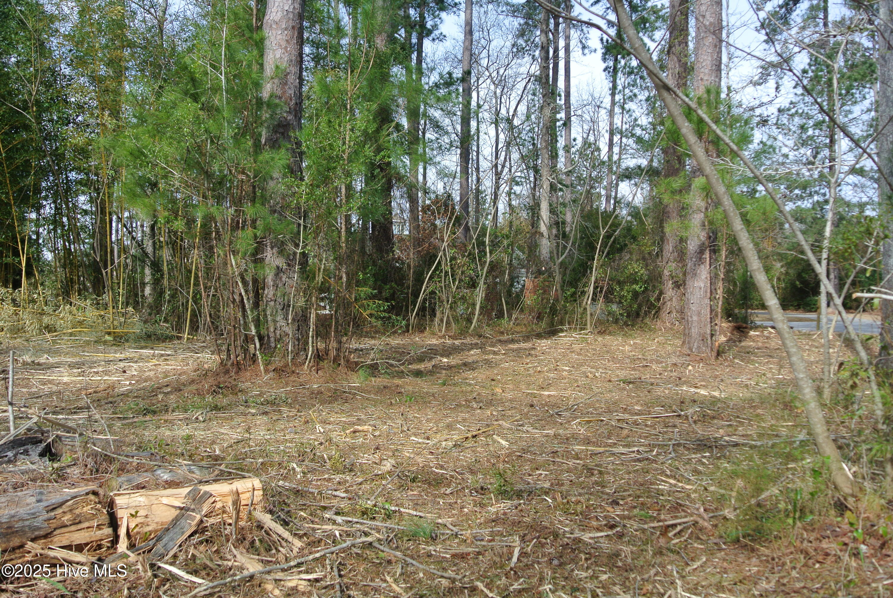 252 Jonaquins Drive Property Photo 4