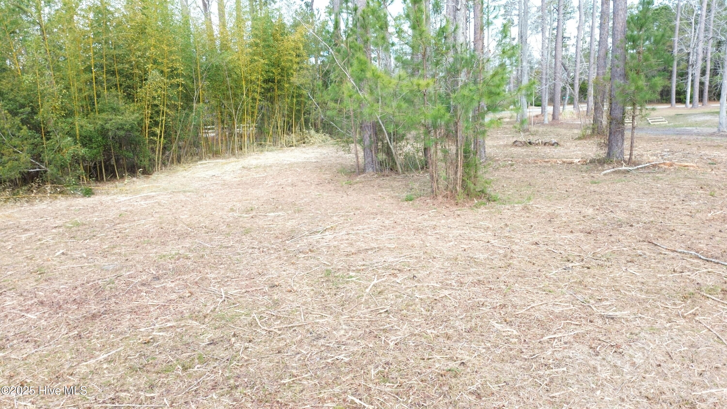 252 Jonaquins Drive Property Photo 8