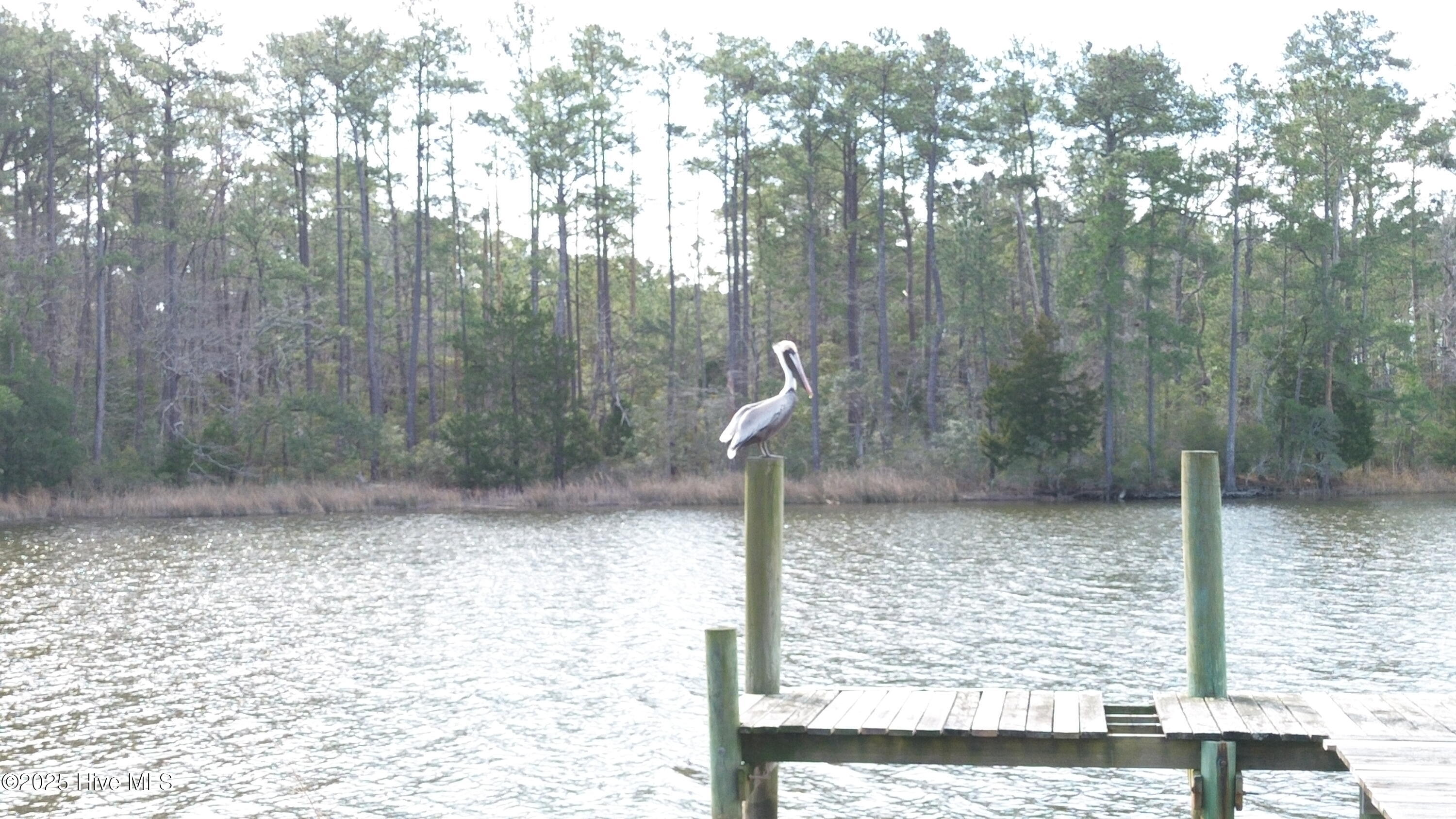 252 Jonaquins Drive Property Photo 17