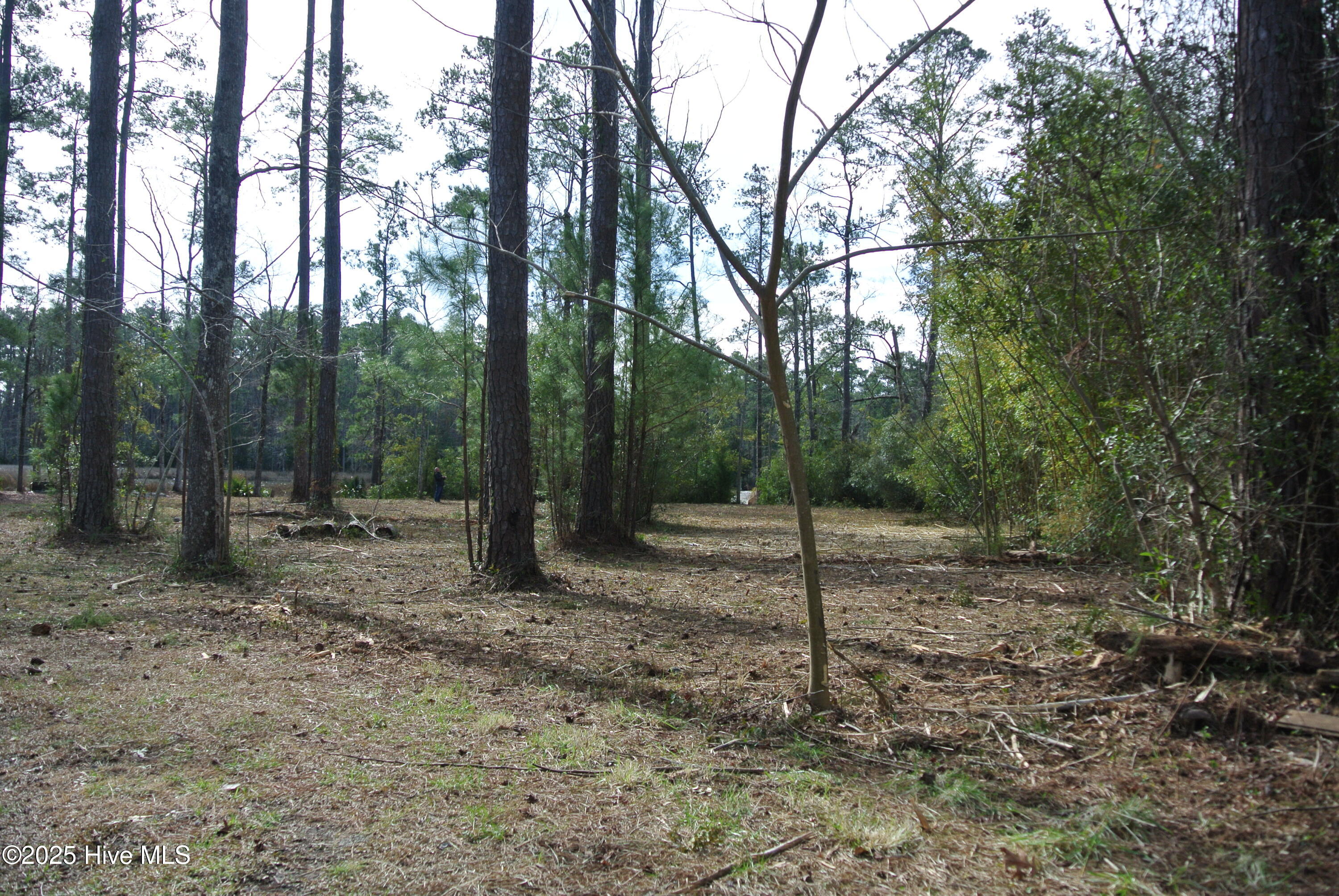 252 Jonaquins Drive Property Photo 31