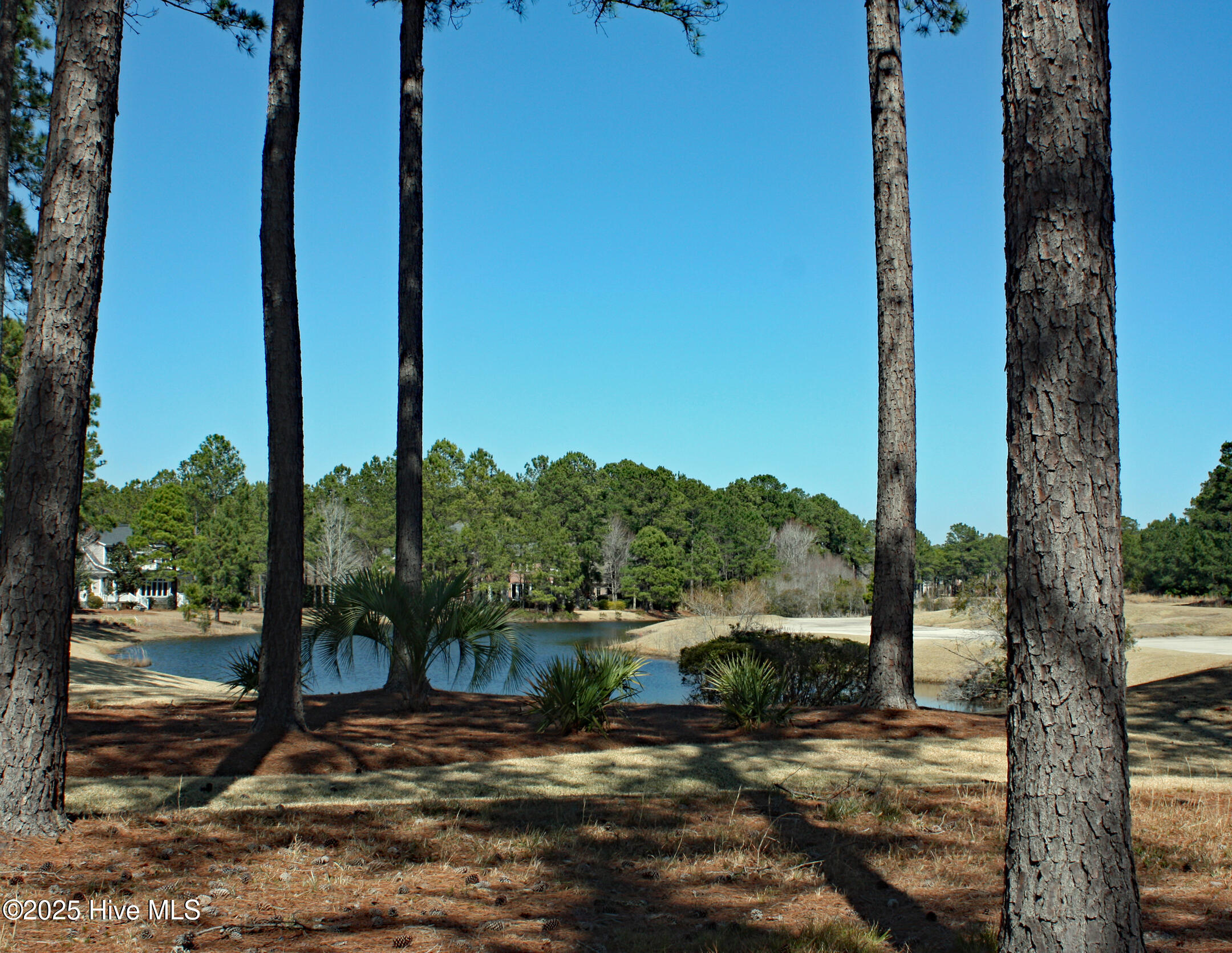 6234 Castlebrook Way Property Photo