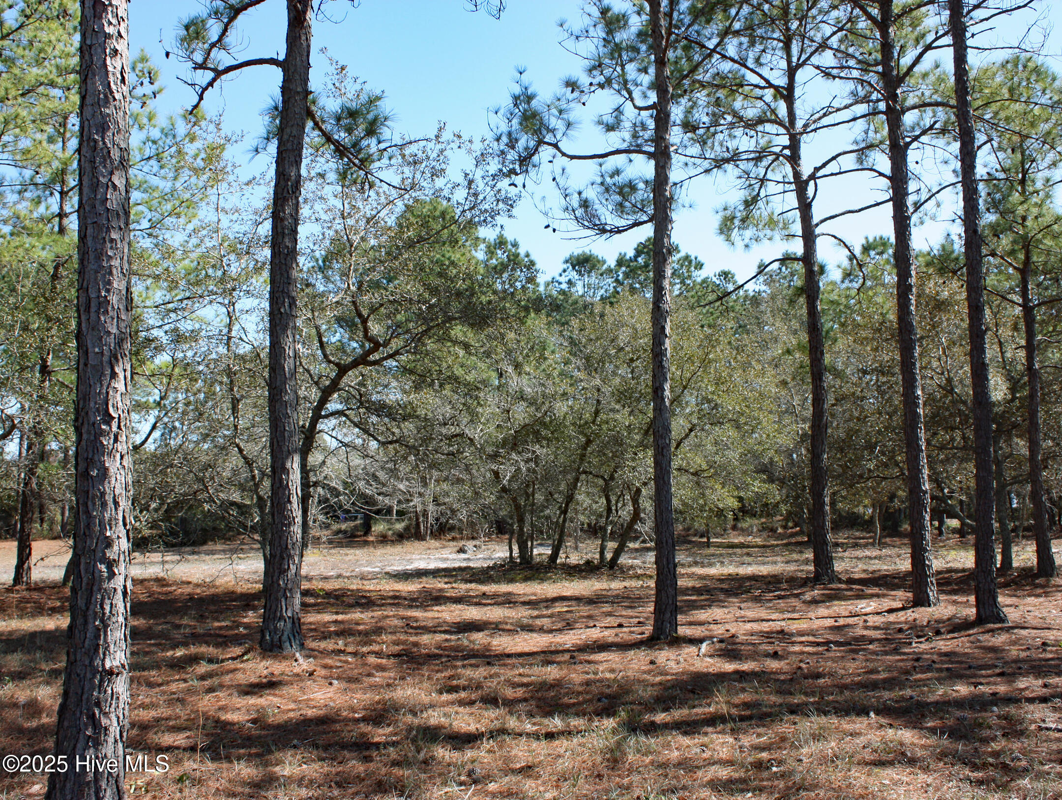 6350 Castlebrook Way Property Photo