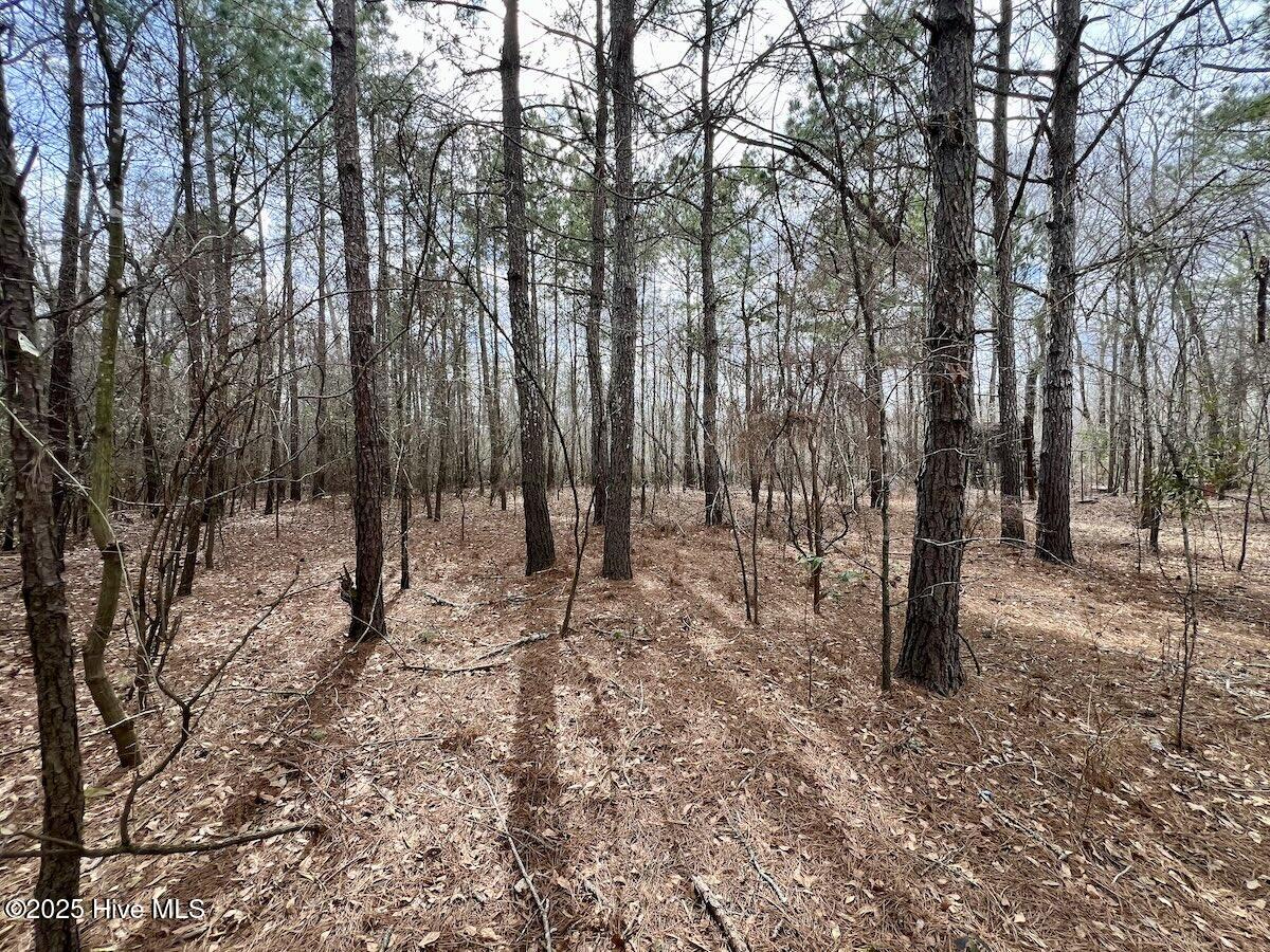 0 Jolly Ole Field Road Property Photo