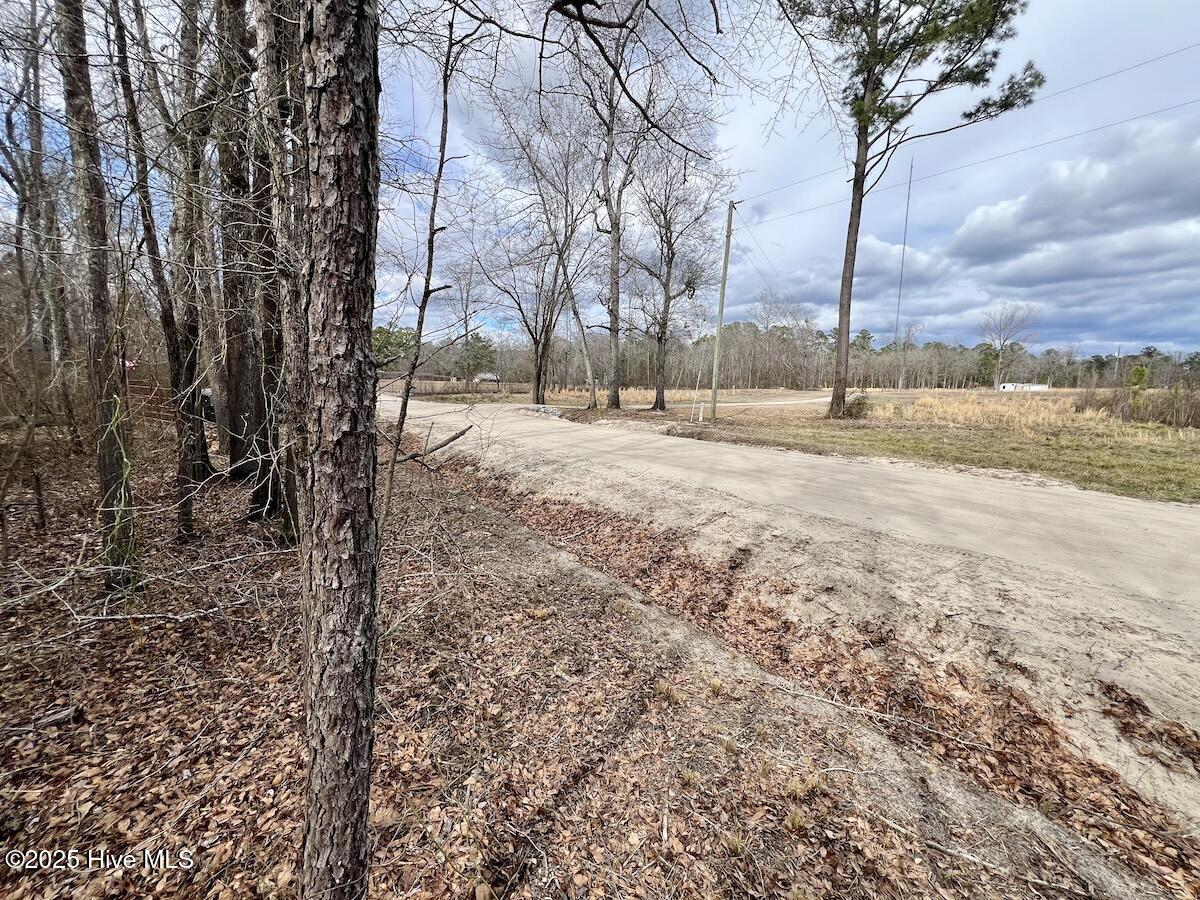 0 Jolly Ole Field Road Property Photo 9