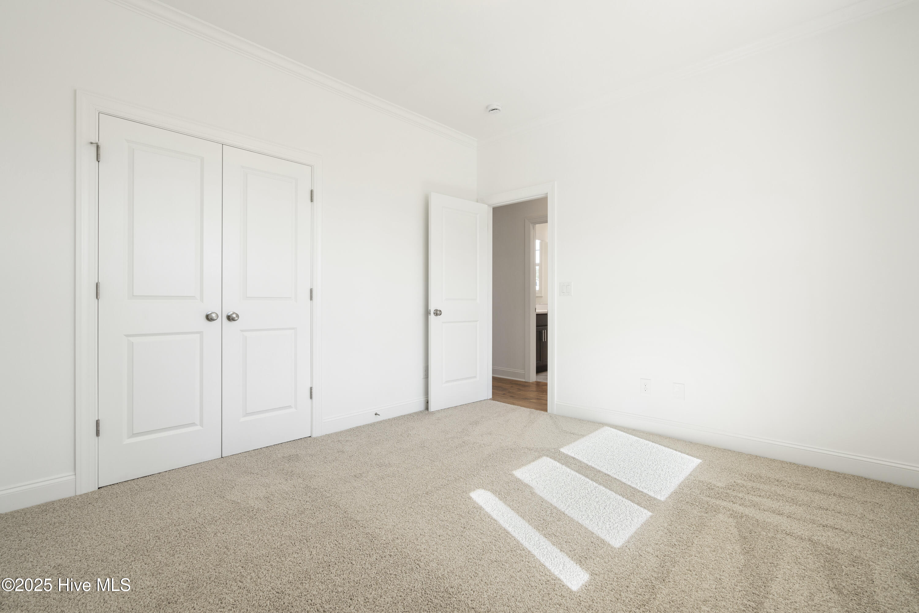 1166 Turnata Drive Property Photo 39