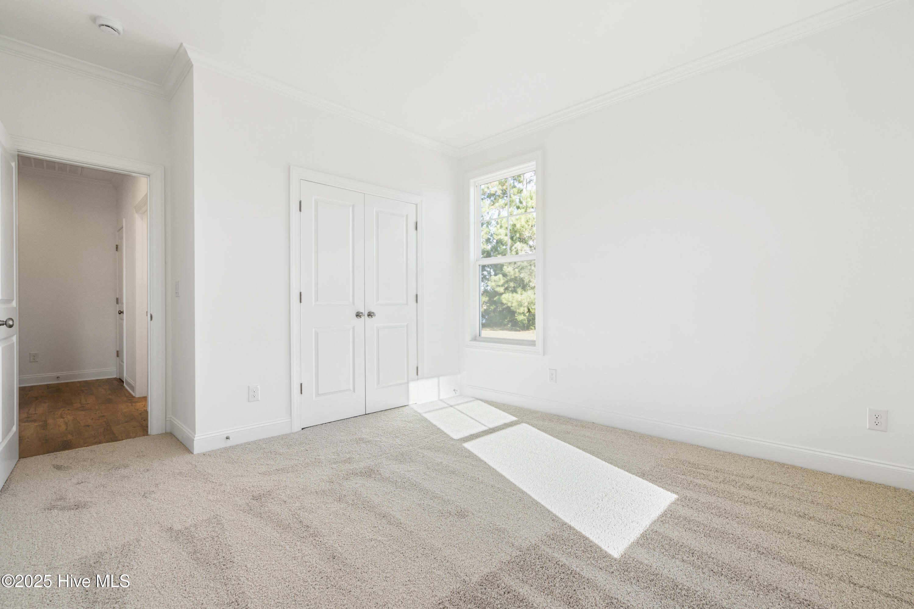 1166 Turnata Drive Property Photo 41