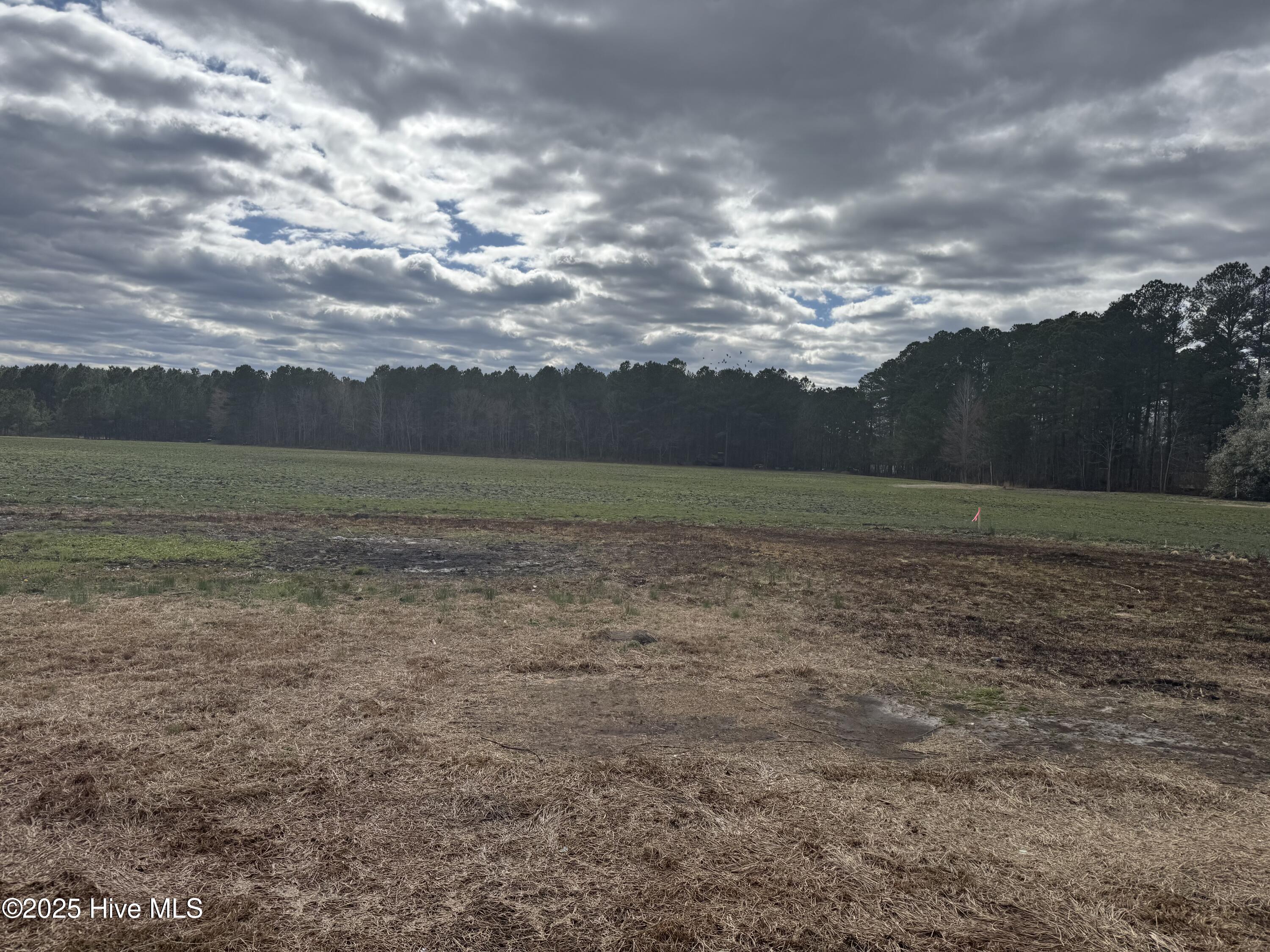 2035 Allen Williams Road Property Photo 3